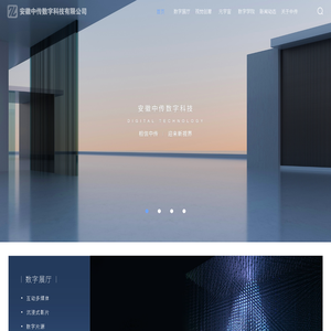 安徽中传数字科技有限公司