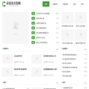 永铭龙井茶网