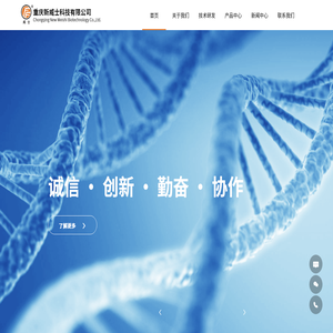 重庆新威士科技有限公司