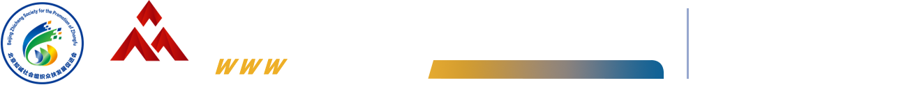 数字协会