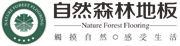 自然森林地板