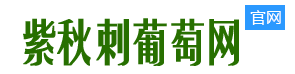 芷江侗族自治县紫秋刺葡萄专业合作社